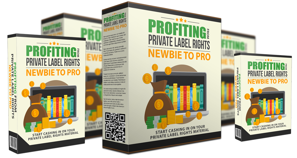 Profiting From PLR Rights